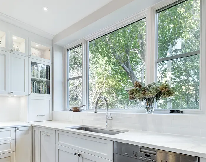 Window Installer Hopkins